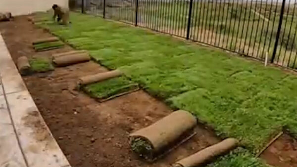 Advantages of Landscaping