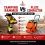 Tamping Rammer vs Plate Compactor: Which Compactor Is Best?