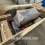 Delivery Ride On Trowel Machine Bulgaria